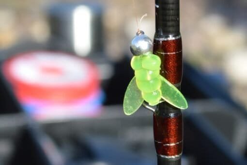 Avižadrebio Masalai